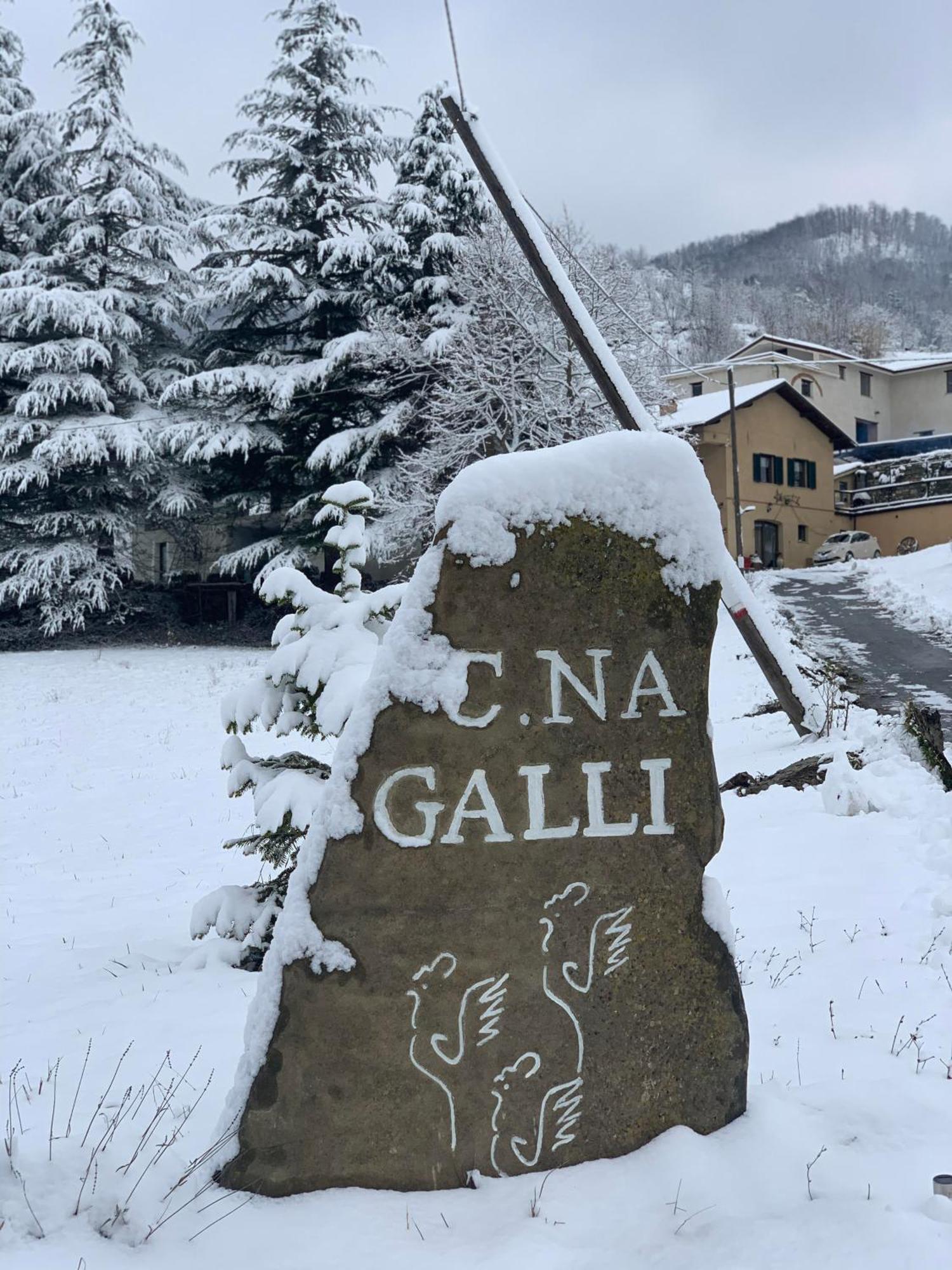 B&B Cascina Galli Merana Екстер'єр фото